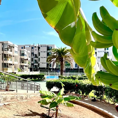 Vinas דירה פלאייה דה לאס אמריקס